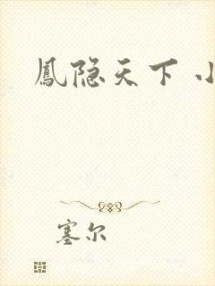 凤隐天下 小说