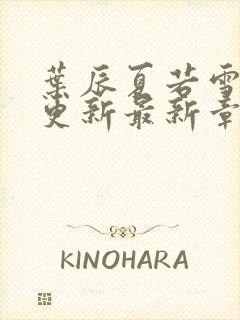 叶辰夏若雪孙怡更新最新章节