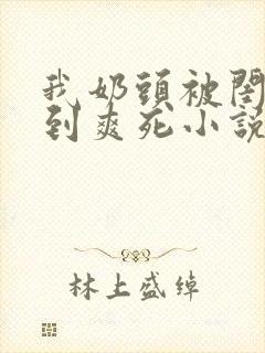 我奶头被闺蜜嗦到爽死小说封面