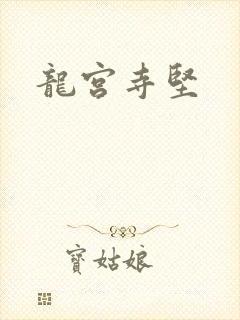 龙宫寺坚封面
