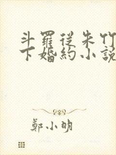 斗罗从朱竹清订下婚约小说封面