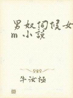 男奴伺候女王sm 小说封面