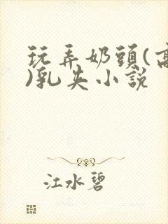 玩弄奶头(高h)乳夹小说