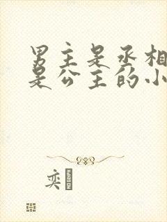 男主是丞相女主是公主的小说