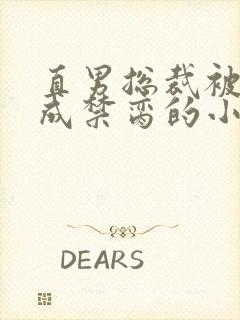 直男总裁被调教成禁脔的小说封面