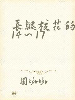 长腿校花的呻吟14～17