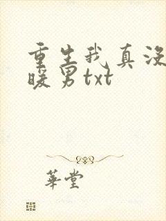 重生我真没想当暖男txt