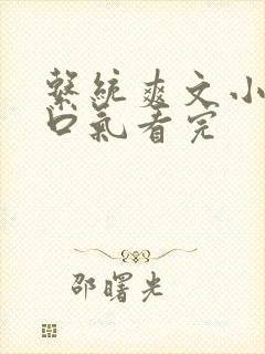 系统爽文小说一口气看完封面