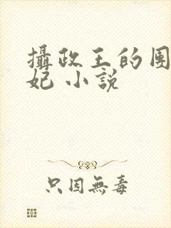 摄政王的团宠医妃 小说