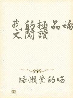 我的极品娇妻全文阅读