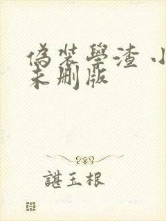 伪装学渣 小说未删版