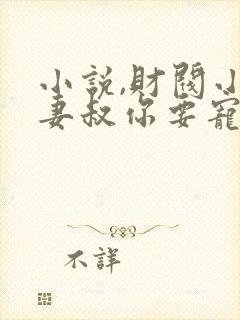 小说,财阀小娇妻叔你要宠坏我了封面