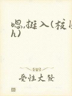 嗯,挺入(校园h)封面