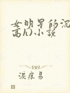 女明星的沉沦(高h)小说