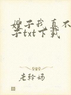 嫂子我真不是傻子txt下载封面
