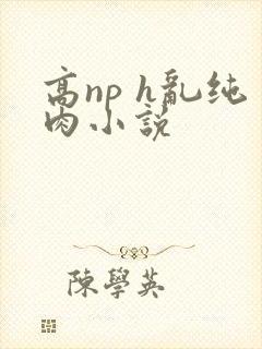 高np h乱纯肉小说
