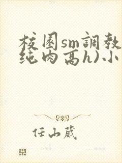 校园sm调教(纯肉高h)小说