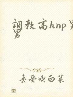 调教高hnp男男封面