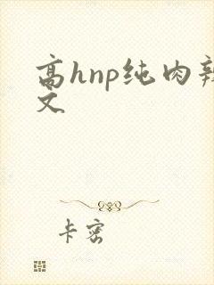 高hnp纯肉辣文