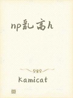 np乱高h