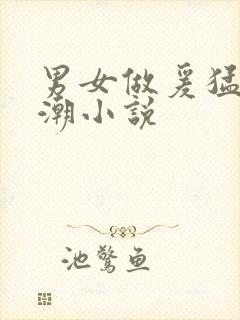 男女做爰猛烈高潮小说