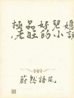 极品好儿媳秦雨,老旺的小说免费阅读全文