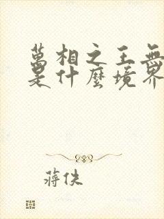 万相之王无双侯是什么境界