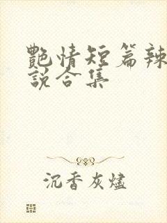 艳情短篇辣文小说合集