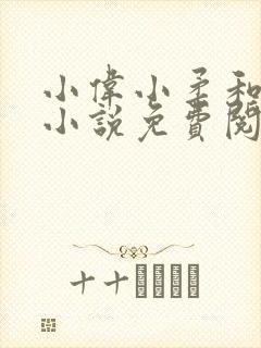 小伟小柔和妈妈小说免费阅读