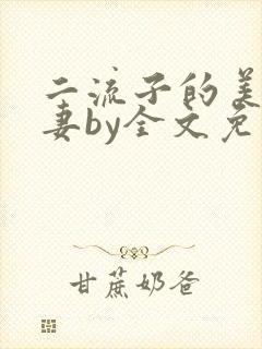 二流子的美貌娇妻by全文免费阅读小说