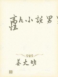 高h小说男男双性