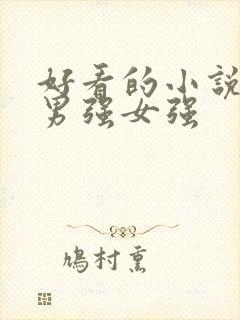 好看的小说推荐男强女强