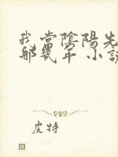 我当阴阳先生的那几年 小说