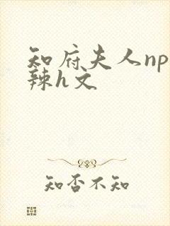 知府夫人np高辣h文