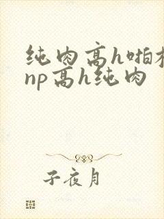 纯肉高h啪校园np高h纯肉封面