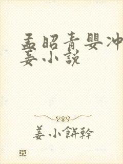 孟昭青婴冲喜侍妾小说