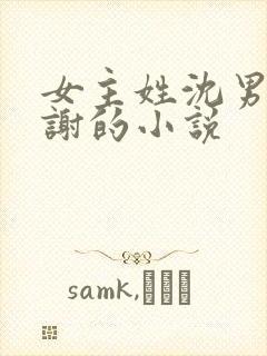 女主姓沈男主姓谢的小说