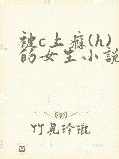 被c上瘾(h)的女生小说封面