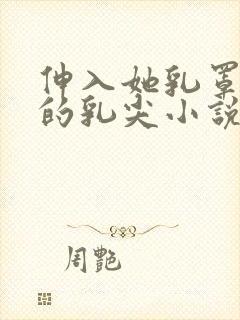 伸入她乳罩揉她的乳尖小说