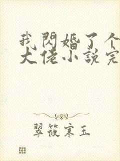 我闪婚了个财阀大佬小说完整版封面