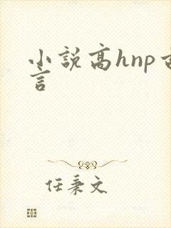 小说高hnp古言封面