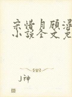 宋惜月顾浔渊的小说全文免费阅读