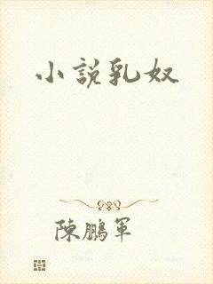 小说乳奴封面