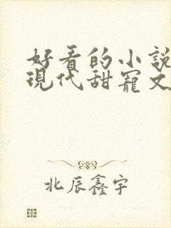 好看的小说言情现代甜宠文