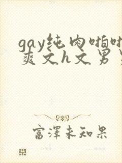 gay纯肉啪啪爽文h文男男np
