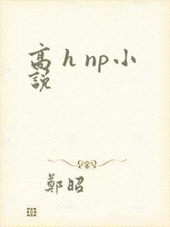 高 h np小说