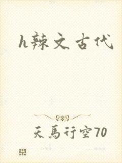 h辣文古代