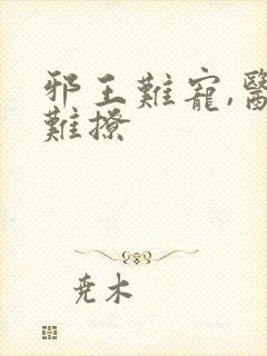 邪王难宠,医妃难撩