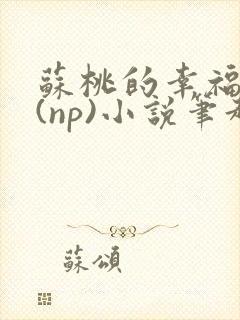 苏桃的幸福生活(np)小说笔趣阁沐沐