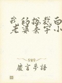 我的总裁白富美老婆秦宇小说正版